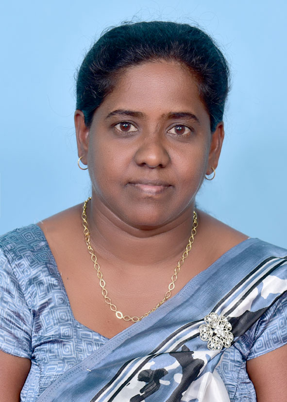 palawewa